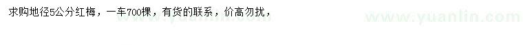 求購地徑5公分紅梅