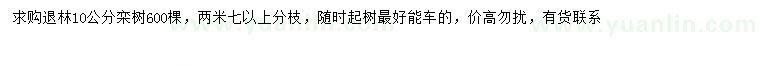 求購(gòu)10公分欒樹