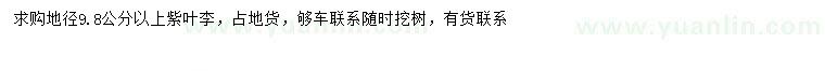 求購(gòu)地徑9.8公分以上紫葉李