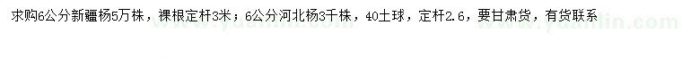 求購6公分新疆楊、河北楊