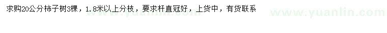 求購20公分柿子樹