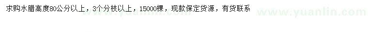 求購(gòu)高80公分以上水臘