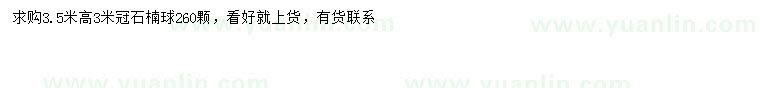 求購冠幅3米石楠球