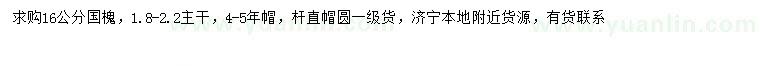 求購16公分國槐