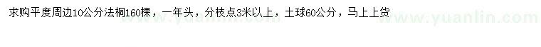 求購10公分法桐