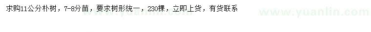 求購11公分樸樹