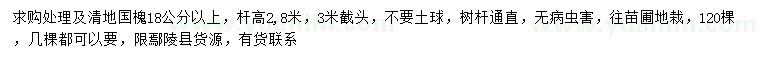 求購(gòu)18公分以上國(guó)槐