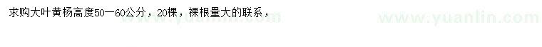 求購高50-60公分大葉黃楊