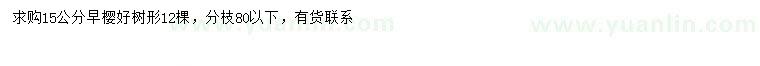 求購(gòu)15公分早櫻