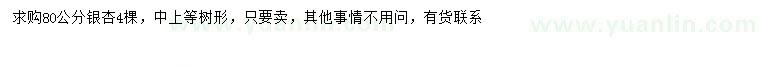 求購80公分銀杏