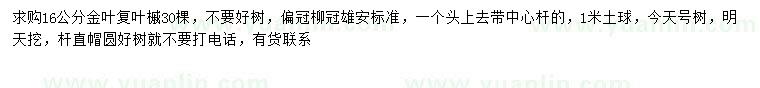 求購16公分金葉復葉槭