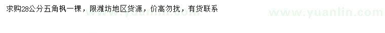 求購28公分五角楓