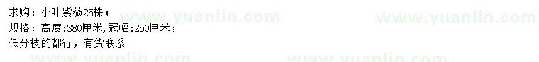 求購(gòu)高380公分小葉紫薇