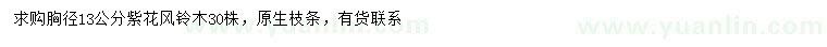 求購胸徑13公分紫花風(fēng)鈴木