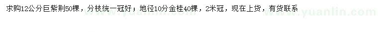 求購12公分巨紫荊、地徑10分金桂