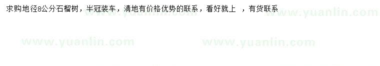 求購地徑8公分石榴樹