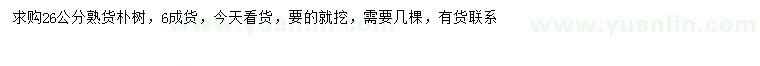求購26公分樸樹(shù)