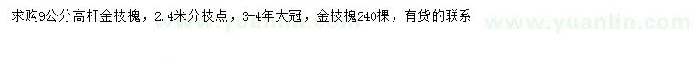 求購(gòu)9公分高桿金枝槐