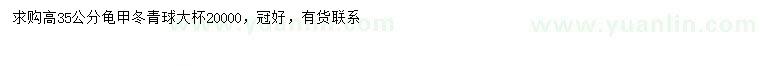求購高35公分龜甲冬青球