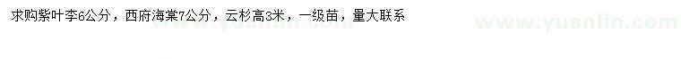 求購(gòu)紫葉李、西府海棠、云杉
