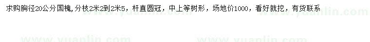 求購(gòu)胸徑20公分國(guó)槐