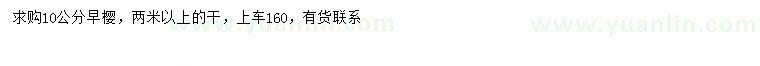 求購10公分早櫻