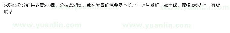 求購12公分紅果冬青