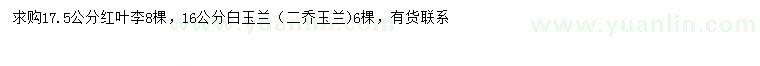 求購(gòu)17.5公分紅葉李、16公分白玉蘭