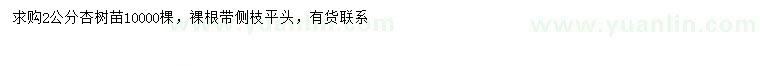 求購(gòu)2公分杏樹(shù)