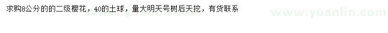 求購8公分櫻花