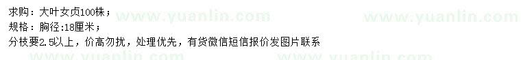 求購胸徑18公分大葉女貞
