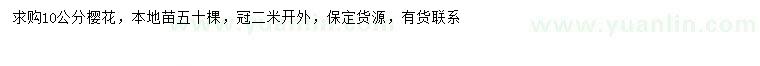 求購10公分櫻花
