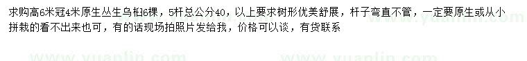 求購冠幅4米叢生烏桕