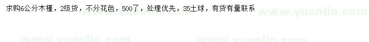求購6公分木槿