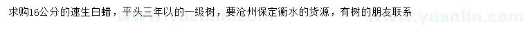 求購16公分速生白蠟