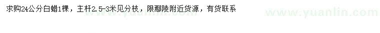 求購(gòu)24公分白蠟