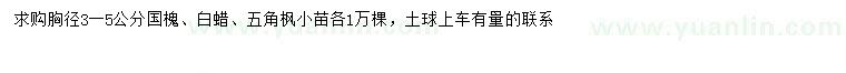 求購國槐、白蠟、五角楓