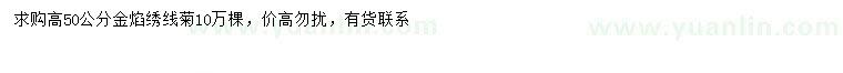 求購高50公分金焰繡線菊