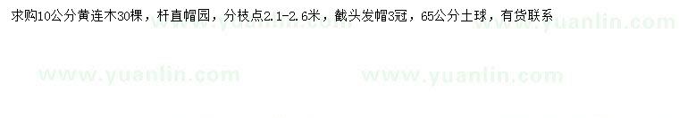 求購(gòu)10公分黃連木