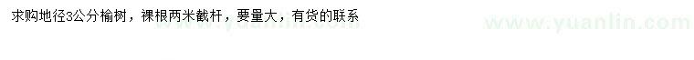 求購地徑3公分榆樹