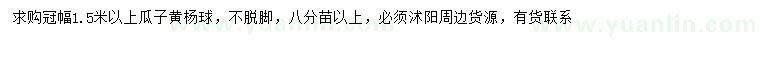 求購冠幅1.5米以上瓜子黃楊球