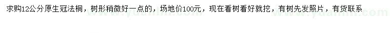 求購12公分法桐