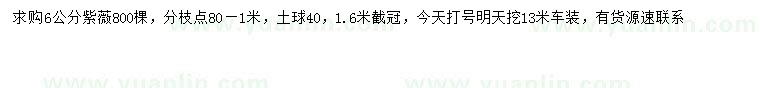 求購(gòu)6公分紫薇