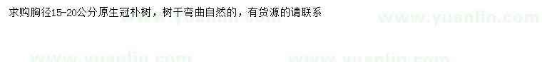 求購胸徑15-20公分樸樹