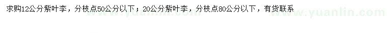 求購(gòu)12、20公分紫葉李