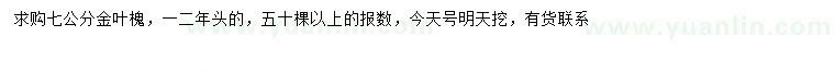 求購七公分金葉槐