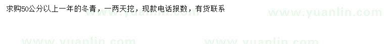 求購50公分以上冬青