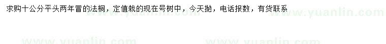 求購10公分法桐