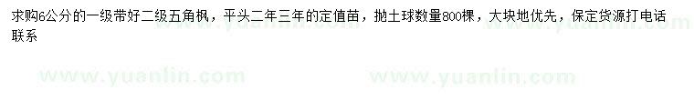 求購(gòu)6公分五角楓