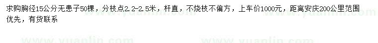 求購胸徑15公分無患子